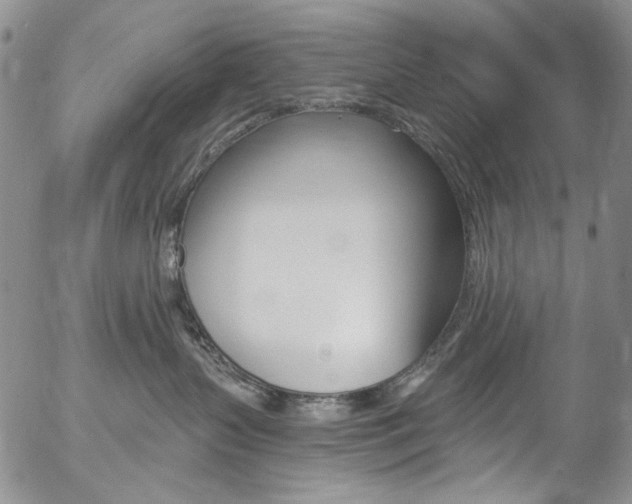 X0000057070383200509090848