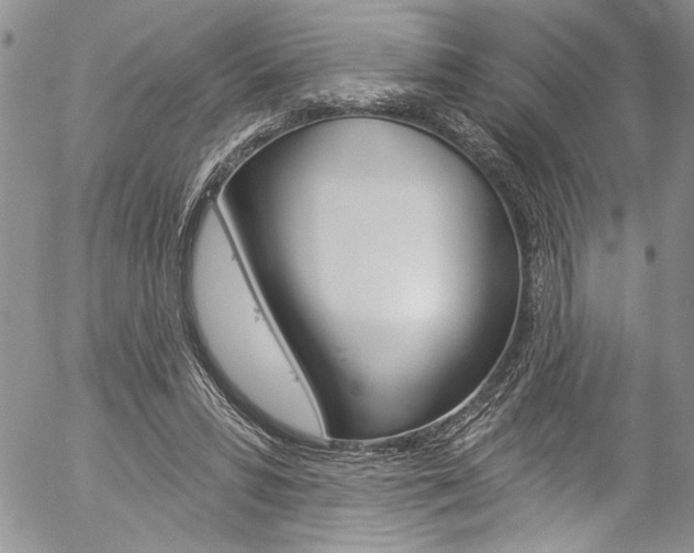 X0000057070399200509090847