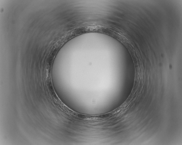 X0000057070417200509090847