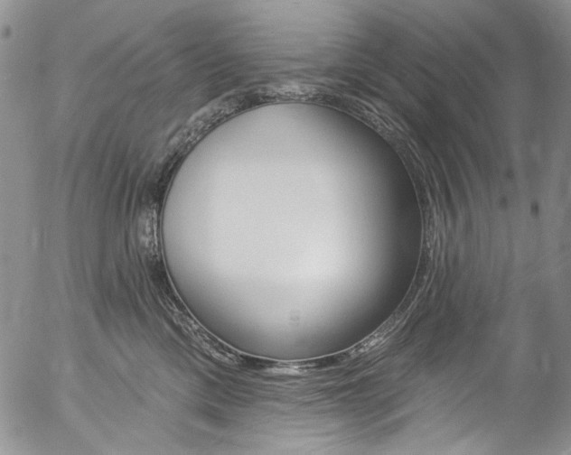 X0000057070425200509090847