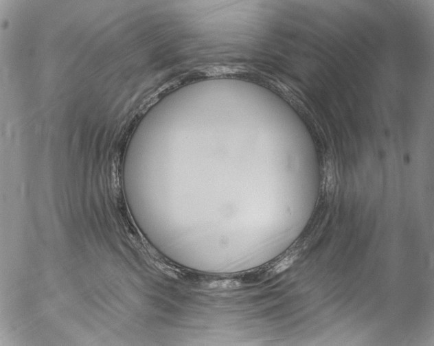 X0000057070426200509090847