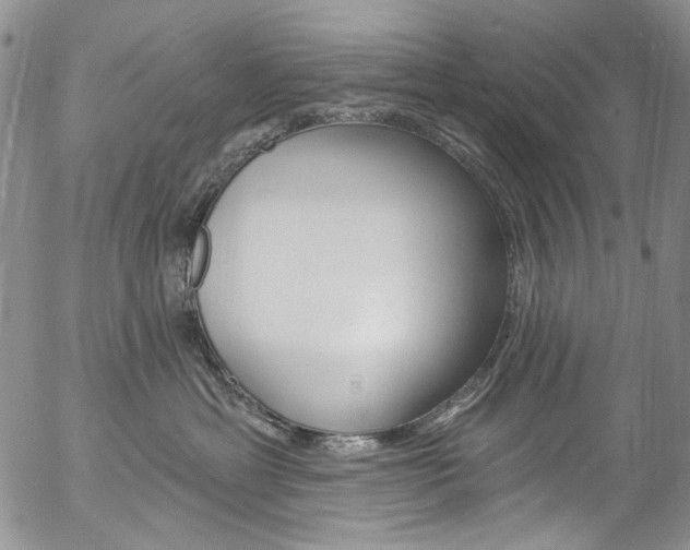 X0000057070429200509090847