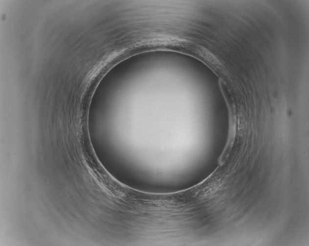 X0000057070436200509090846