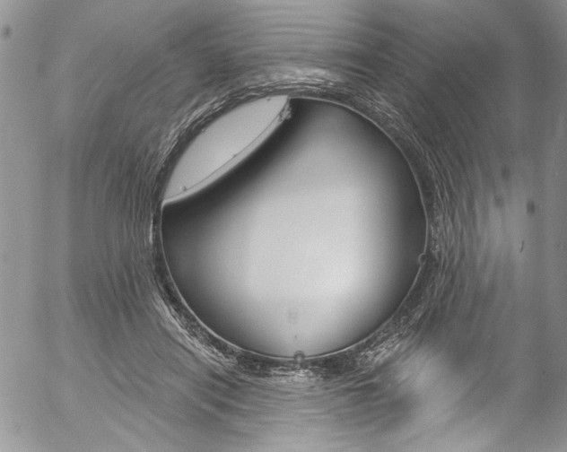 X0000057070454200509090846