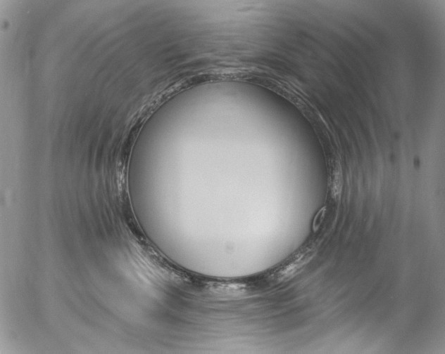 X0000057070476200509090847