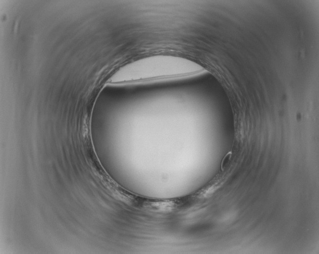 X0000057070478200509090847