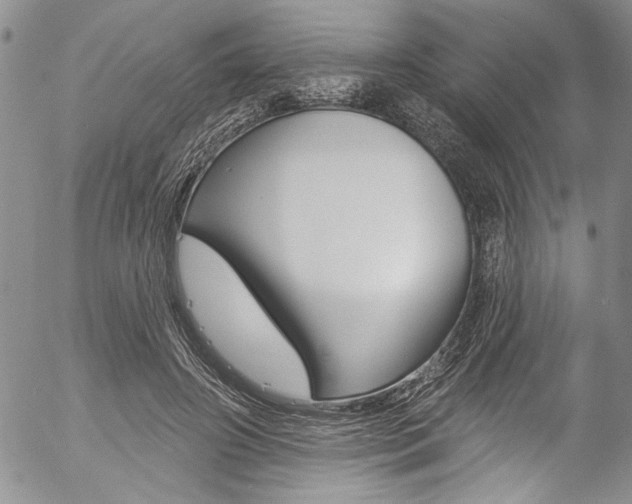 X0000057070498200509090846