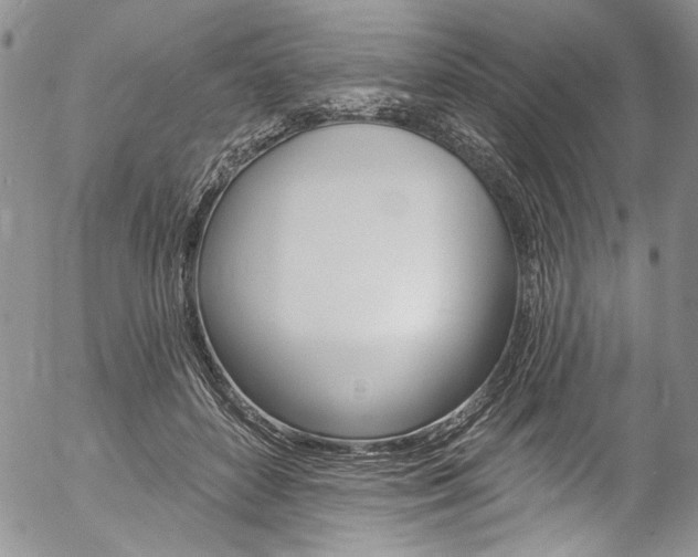 X0000057070504200509090846