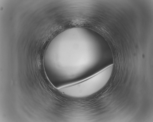 X0000057070508200509090846