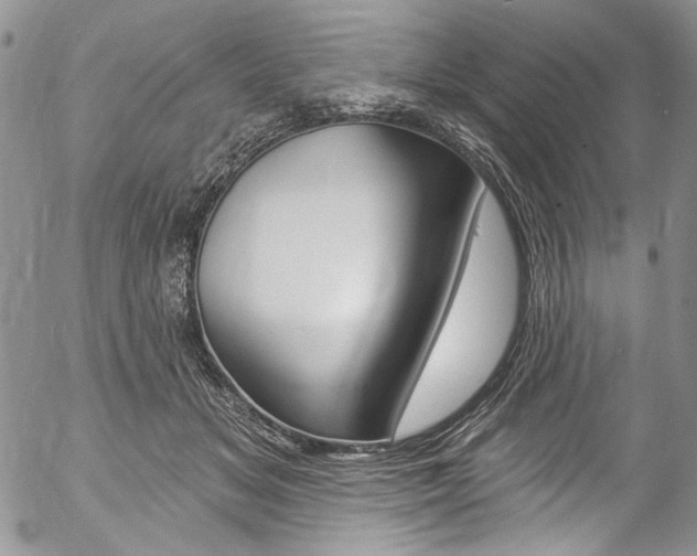 X0000057070509200509090846