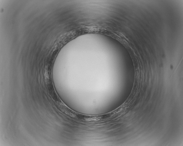 X0000057070516200509090845