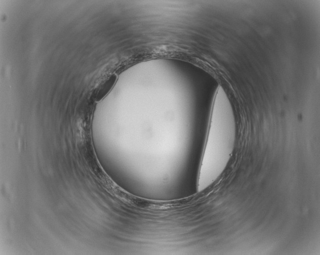 X0000057070520200509090845