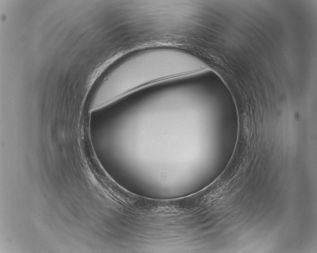 X0000057070536200509090845