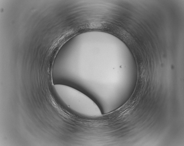 X0000057070542200509090845