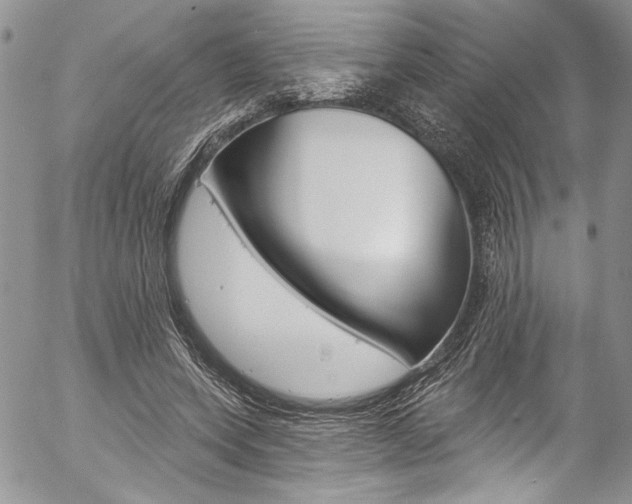 X0000057070543200509090845