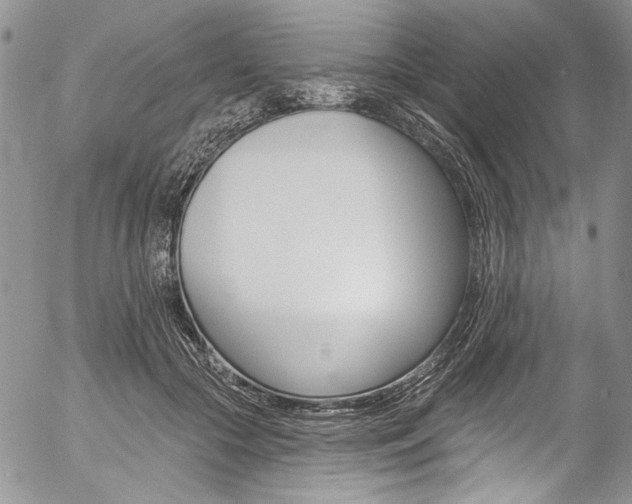 X0000057070553200509090845