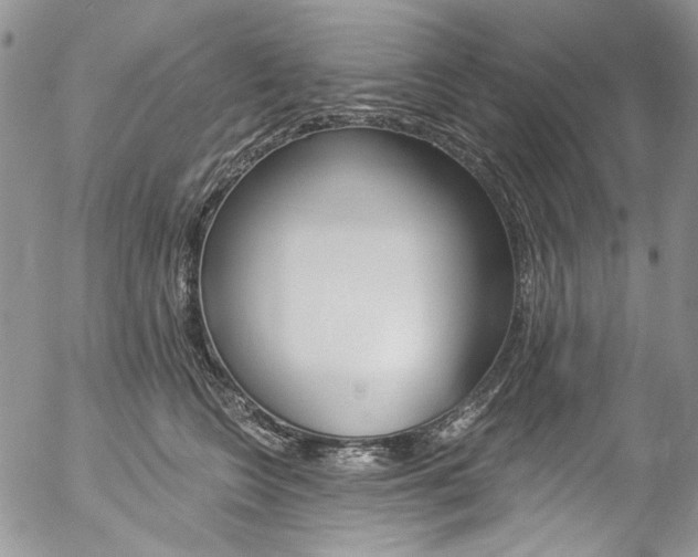X0000057070566200509090845
