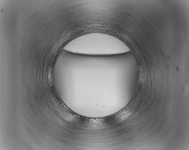 X0000057070573200509090845