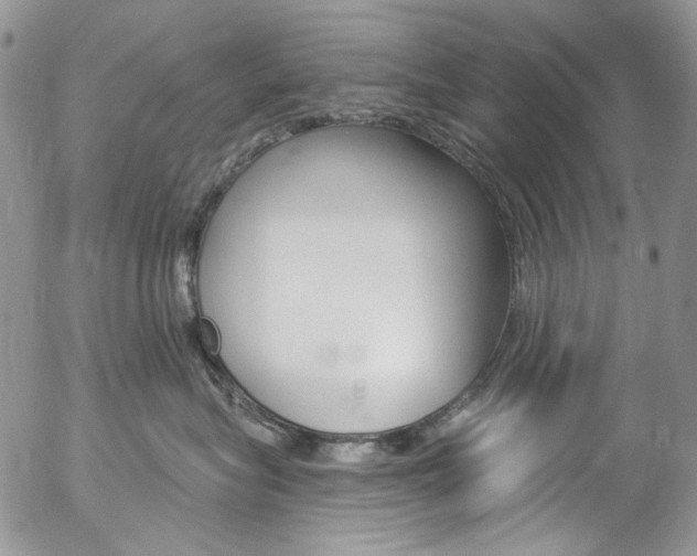 X0000057070575200509090845