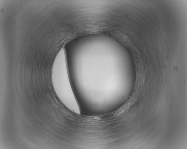 X0000057070576200509090845