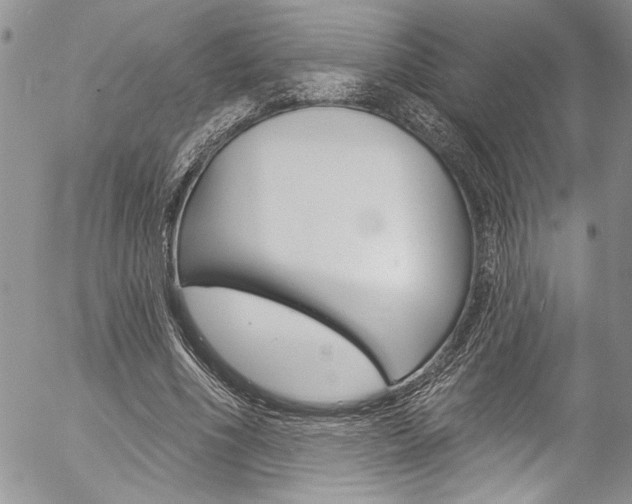 X0000057070586200509090844