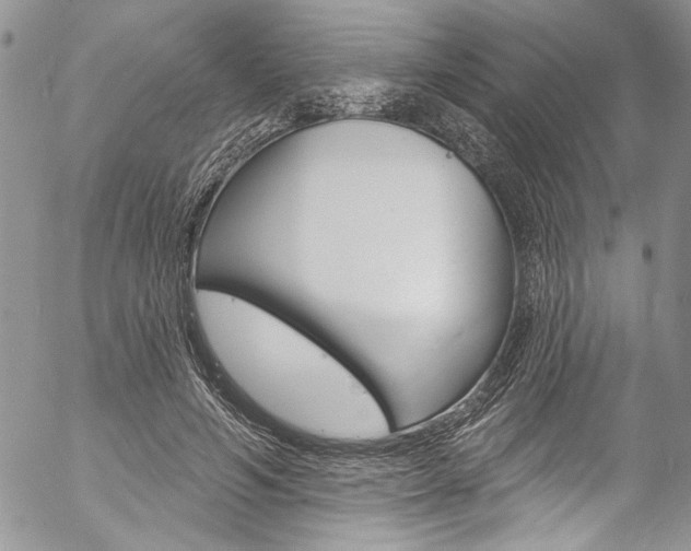 X0000057070594200509090844