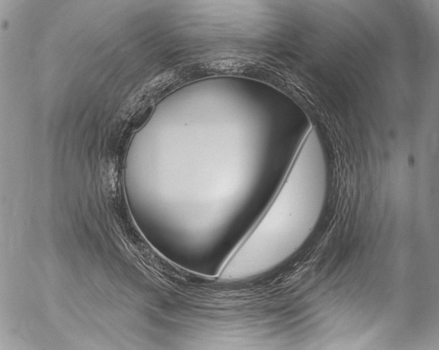 X0000057070597200509090844