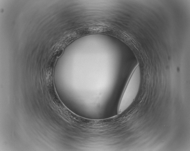 X0000057070601200509090844