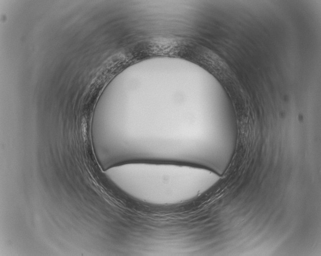 X0000057070602200509090844