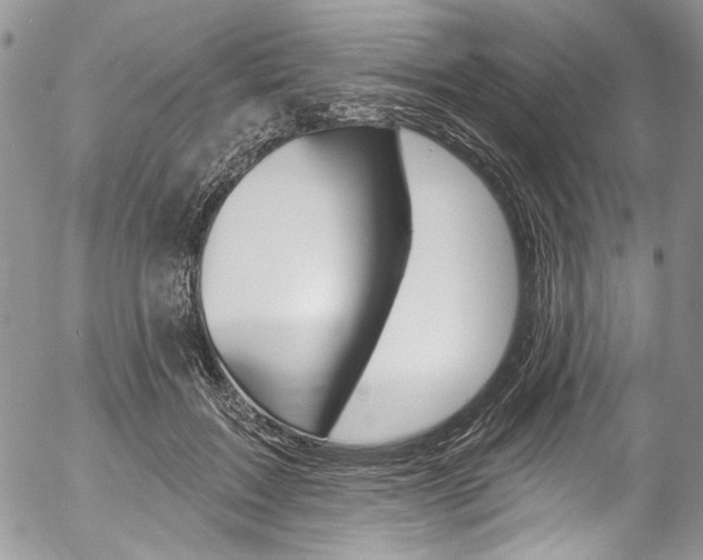 X0000057070603200509090844
