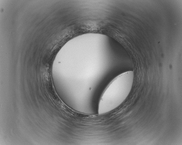 X0000057070612200509090844