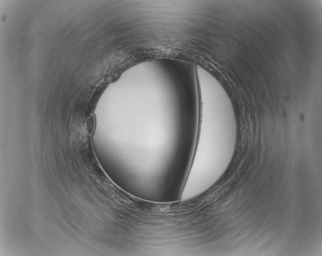 X0000057070613200509090844