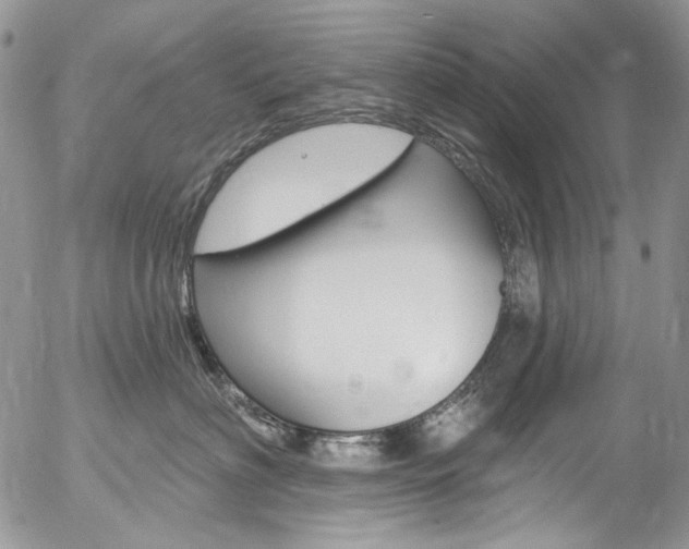 X0000057070622200509090844