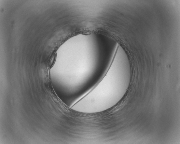 X0000057070624200509090844