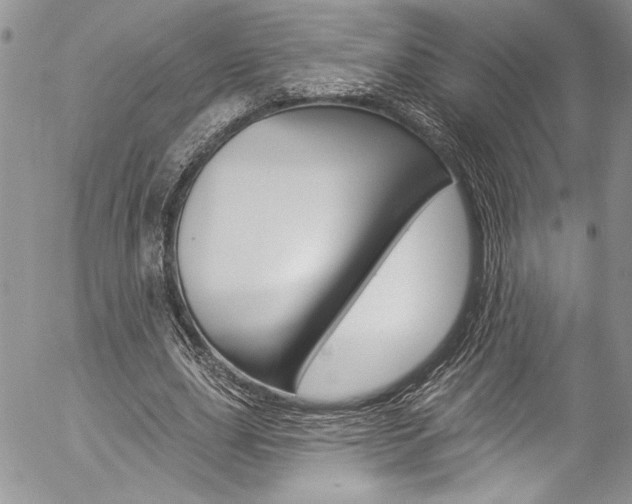 X0000057070631200509090843