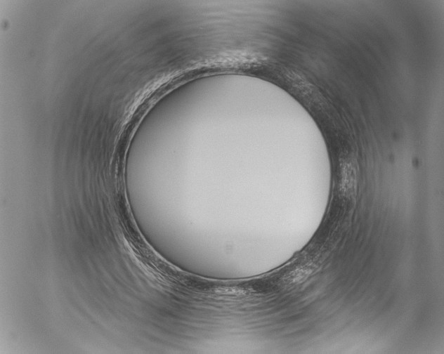 X0000057070636200509090843
