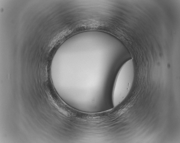 X0000057070638200509090843