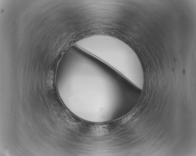 X0000057070664200509090844