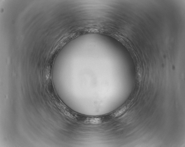 X0000057070665200509090844