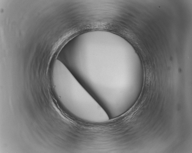 X0000057070674200509090843
