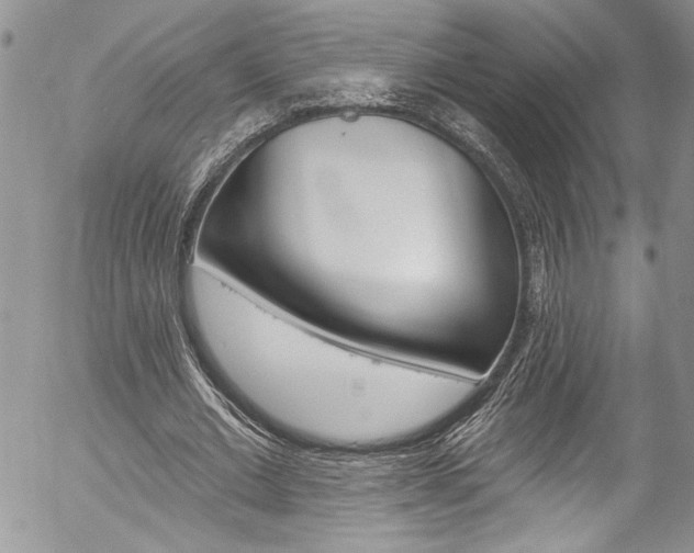 X0000057070677200509090843