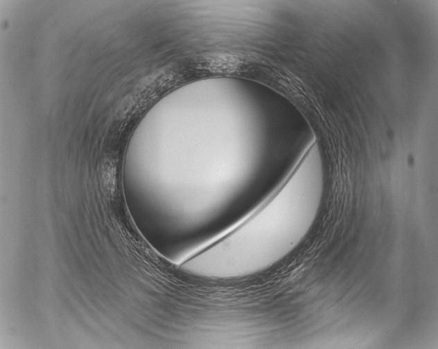 X0000057070697200509090843