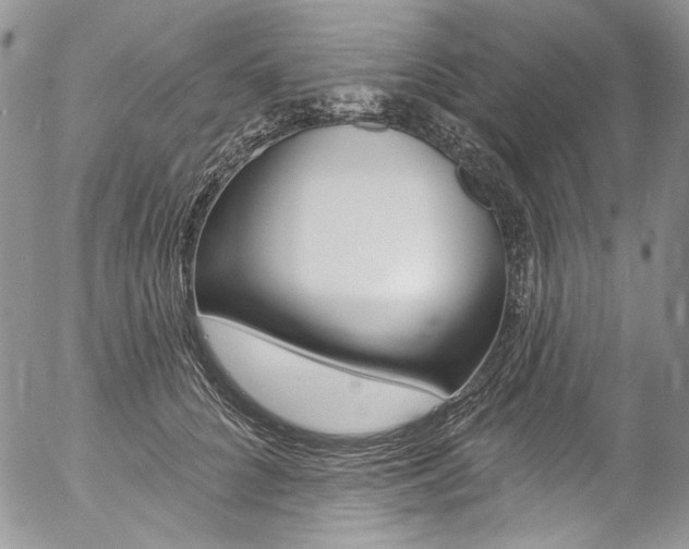 X0000057070704200509090842