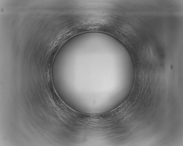 X0000057070743200509090842