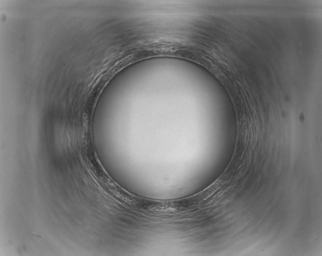 X0000057070747200509090842
