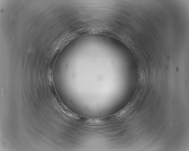 X0000057070766200509090842
