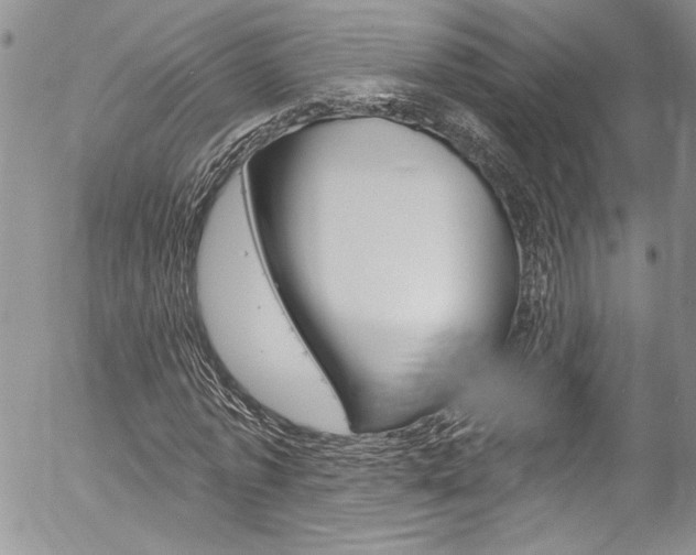 X0000057070773200509090841