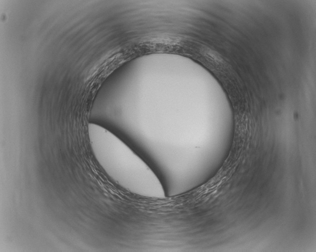 X0000057070774200509090841