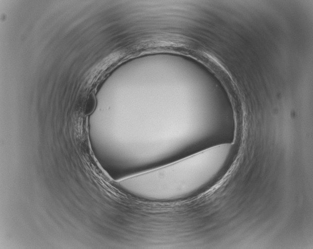 X0000057070777200509090841