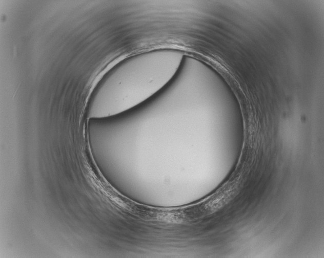 X0000057070790200509090841